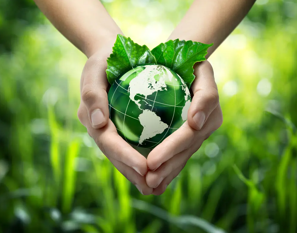 關(guān)于綠色印刷，這些你都知道嗎？